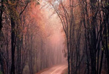 德罗赞空砍31分 国王109-111遭步行者逆转.