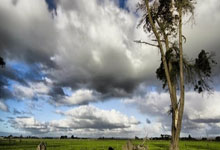 PG娱乐官网：世预赛国足不敌澳大利亚，王大雷谈黄油手.