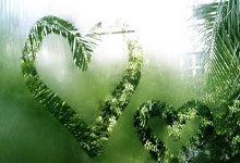 多家西媒：因原告证词不足以维持判决，阿尔维斯被无罪释放.