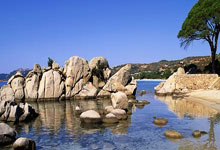 PG娱乐官网：乒坛13人被淘汰！仁川冠军赛遭遇一轮游，林高远3：1逆转获胜晋级.